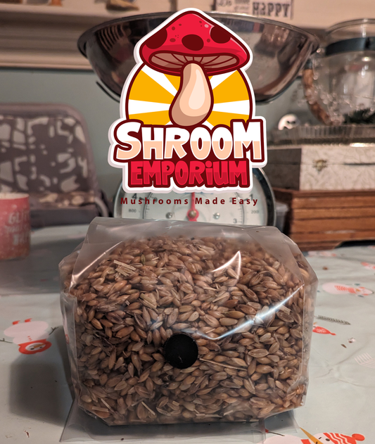 1kg Mushroom Grain Spawn (Whole Oats) W/ Injection Port and Filter Patch