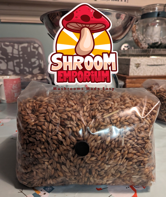 2kg Mushroom Grain Spawn (Whole Oats) W/ Injection Port and Filter Patch